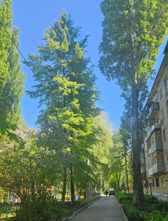 квартира г Самара р-н Октябрьский Московская ул Подшипниковая 22 фото 4