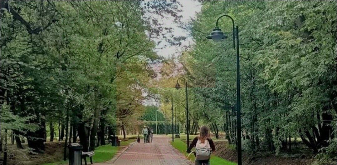 квартира г Калининград р-н Ленинградский ул Глинки 1 фото 22