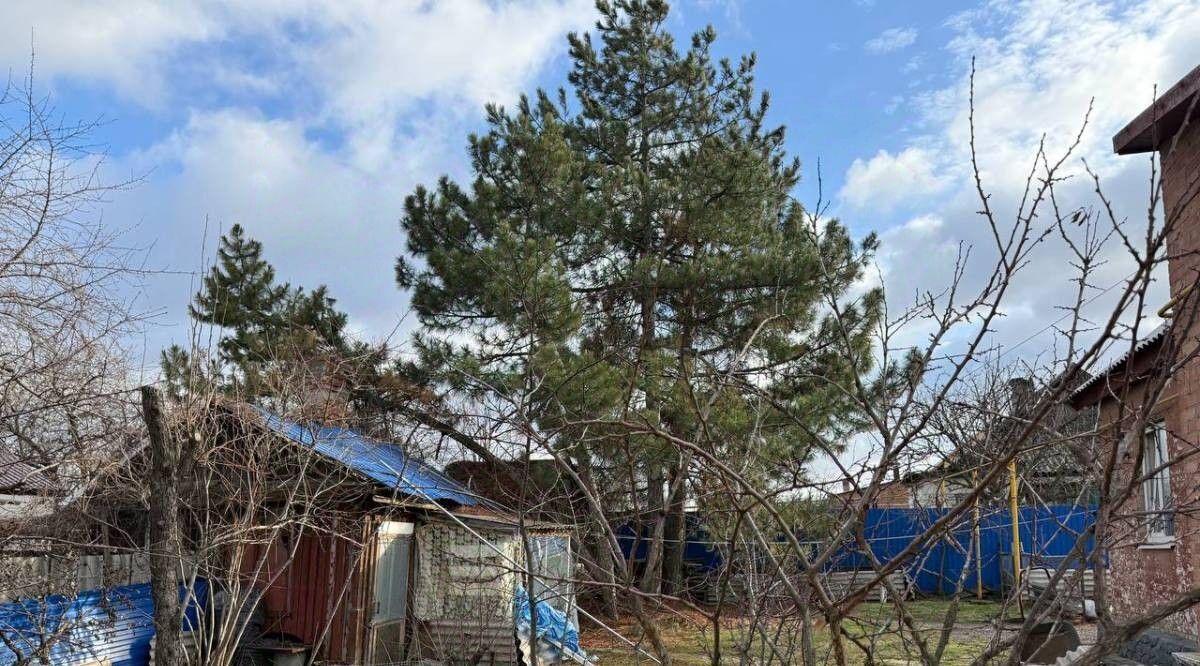 дом г Каменск-Шахтинский ул Пархоменко фото 17