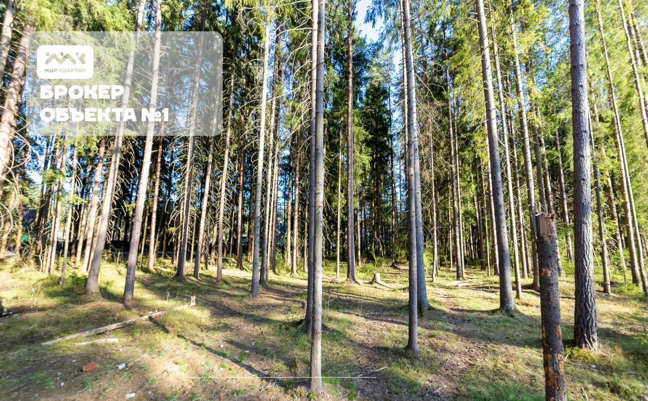 земля г Зеленогорск Курортный ул 1-я Лесная Выборгское шоссе, 22 км фото 4