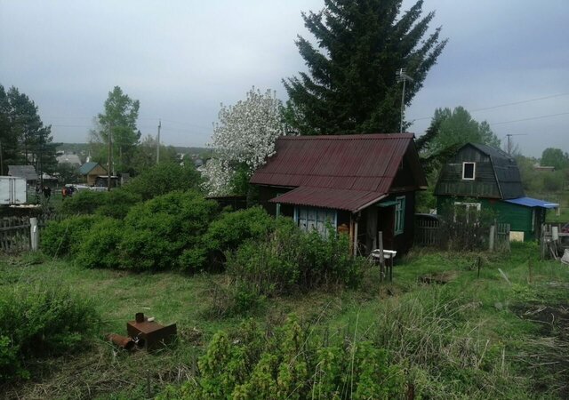 СНОТ Стандарт, 244, Чик фото