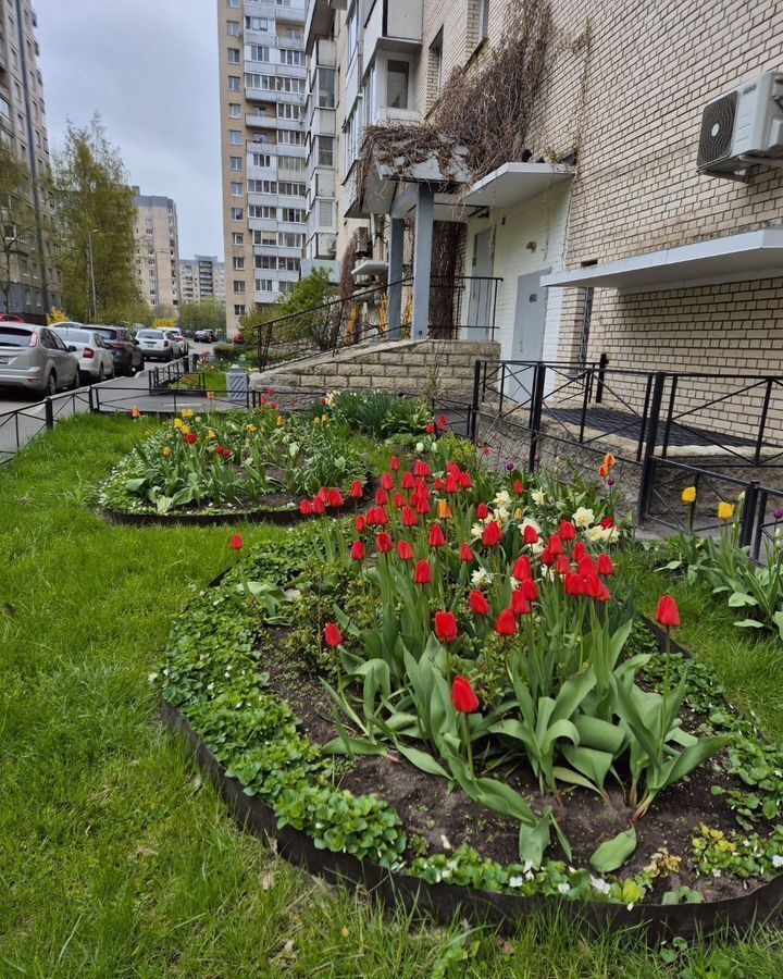 квартира г Санкт-Петербург ул Савушкина 118 Беговая фото 28