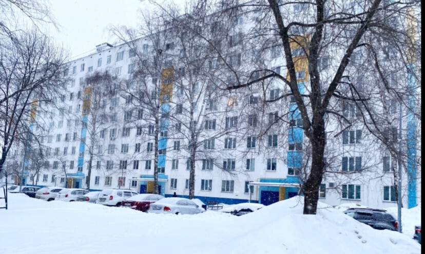 квартира г Набережные Челны р-н Автозаводский 29-й комплекс пр-кт Московский 173 Новый Город м-н фото 13