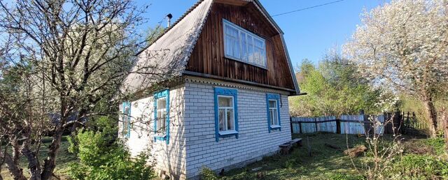 снт терЗеленый Ик фото