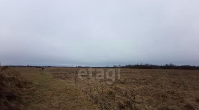 пер Хуторской Логозовская волость фото