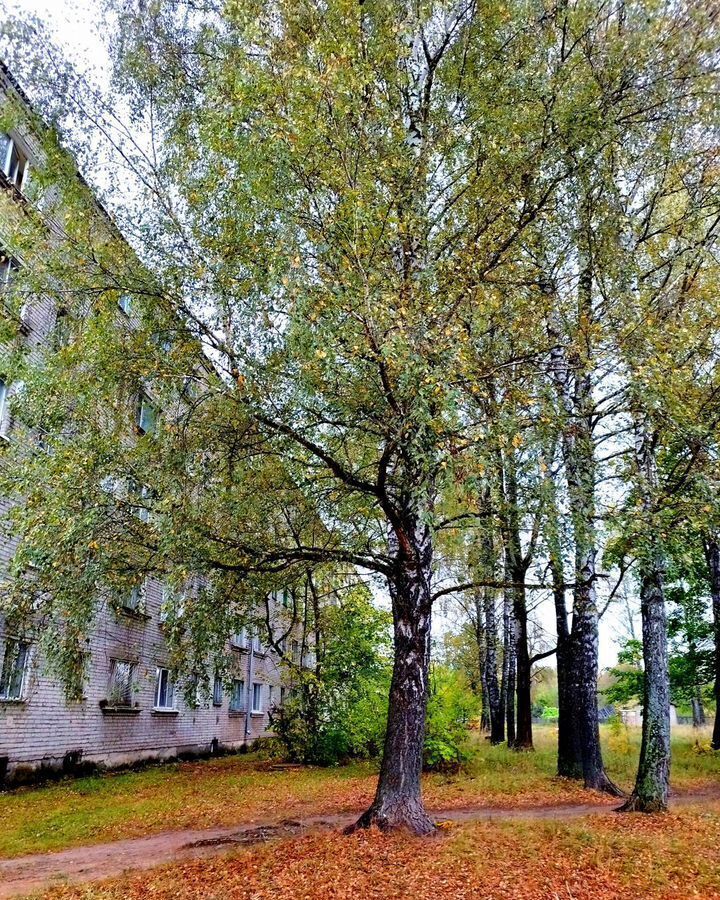 квартира г Смоленск р-н Заднепровский ул Минская 17 фото 16