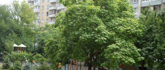 квартира г Симферополь р-н Киевский ул им. Матэ Залки 7а фото 6