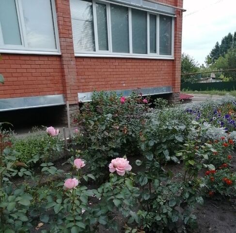 р-н Россошанский г Россошь ул Фурманова 16 фото