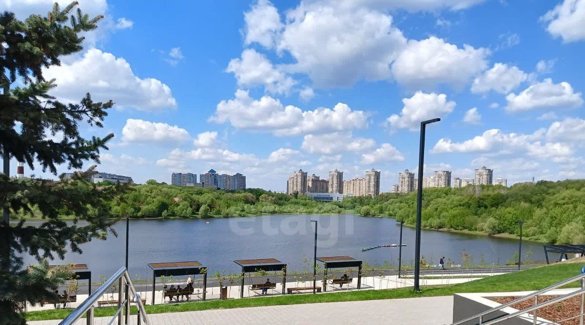 квартира г Раменское ул Михалевича 1 Раменское фото 11