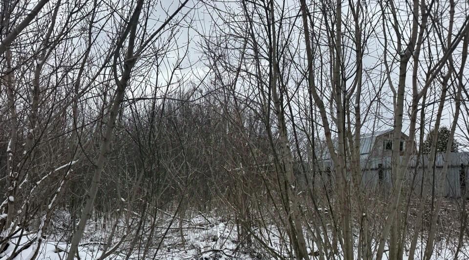 земля г Кашира ул Моргунова фото 2