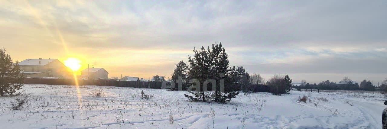 земля городской округ Богородский г Электроугли мкр Светлый Железнодорожная фото 6