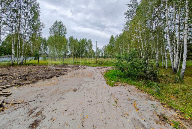 снт Царицыно ул Пушкина 19 фото