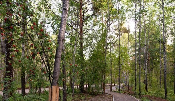 квартира г Тюмень р-н Калининский ул Ильи Кургузова 3 секц. 1 фото 13