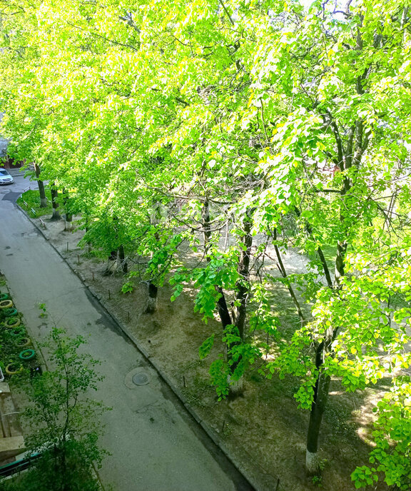 квартира г Обнинск ул Курчатова 2 фото 16