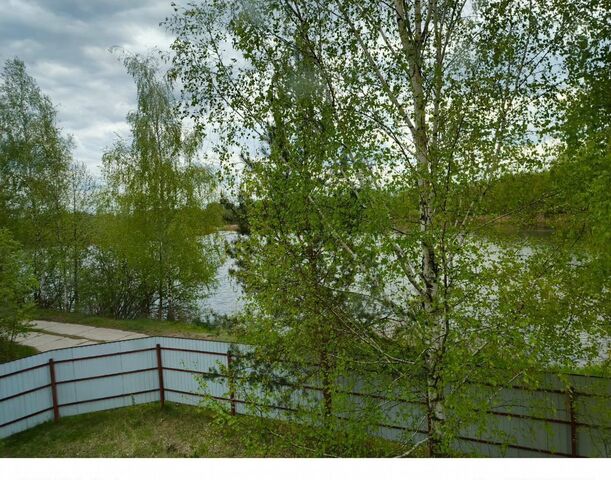 31 км, Носовихинское шоссе фото