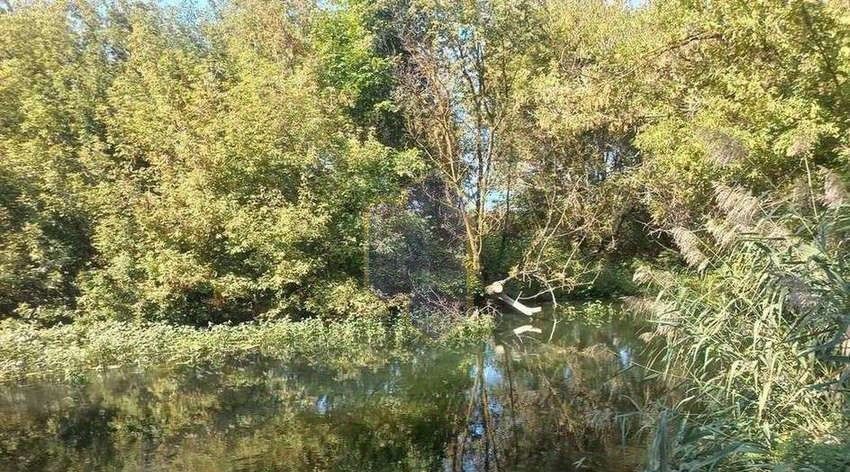 дом г Старый Оскол снт Фиалка ул Цветочная фото 23