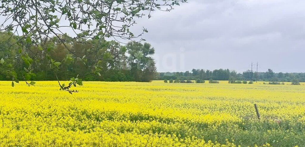 земля р-н Гурьевский г Гурьевск фото 6