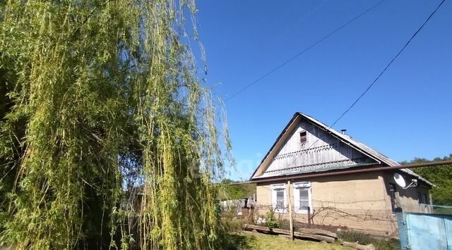 дом ст-ца Суздальская фото