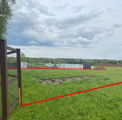Гринвилл кп, 11 фото