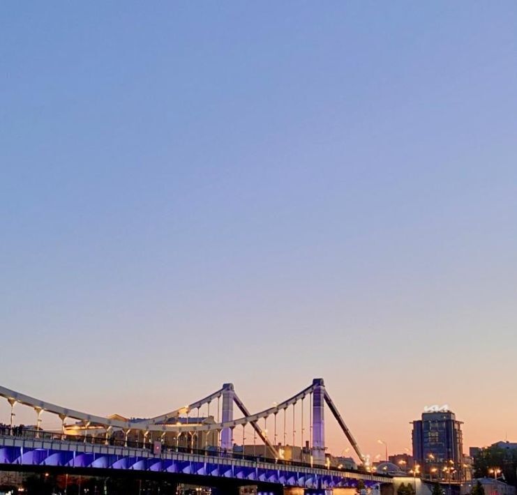 квартира г Москва метро Парк культуры наб Фрунзенская 10 фото 15