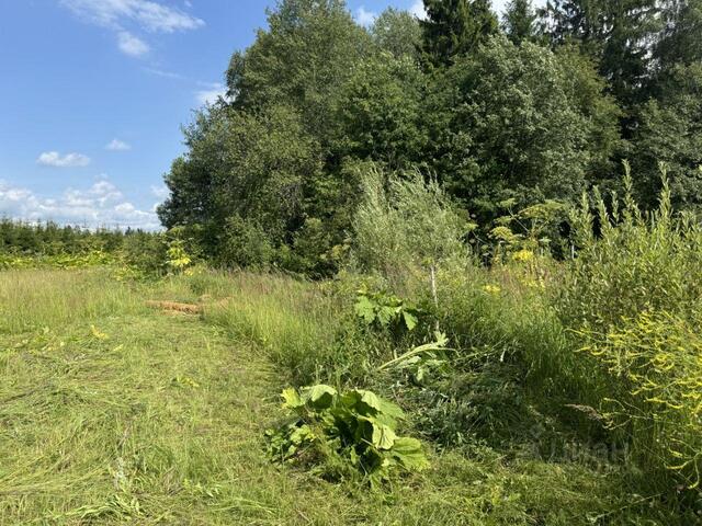 земля ул Московская Можайский городской округ фото