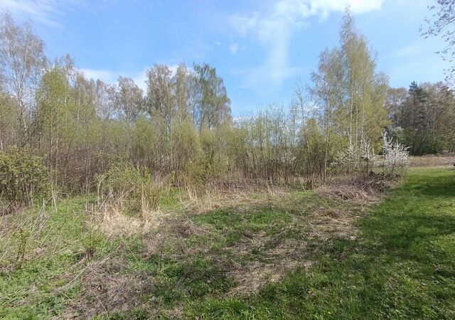 снт Лесное 4-я линия ул фото
