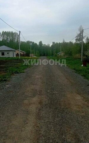 Берёзовая роща ул Полякова фото