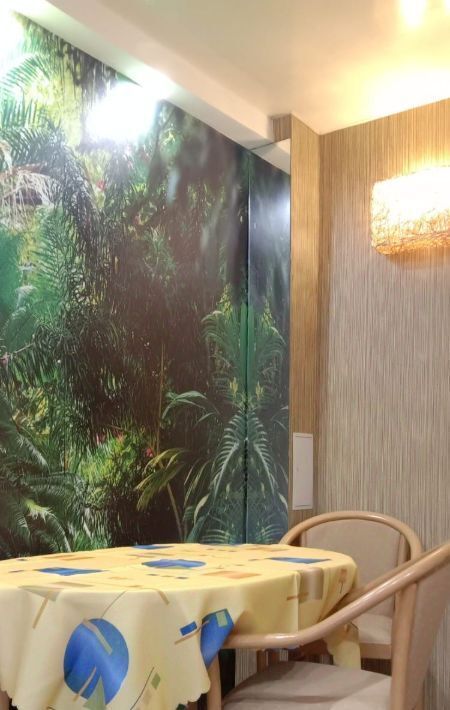 квартира г Новосибирск метро Площадь Гарина-Михайловского ул Железнодорожная 4 фото 4