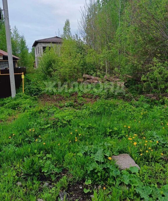 земля г Новосибирск р-н Дзержинский Берёзовая роща ул Полякова фото 4