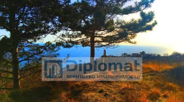 земля пгт Гаспра фото