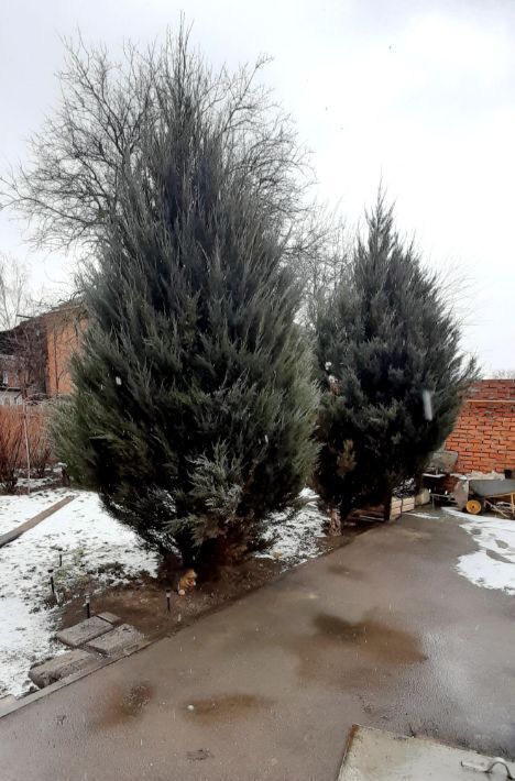 дом г Батайск ул Ленинградская 10 фото 18