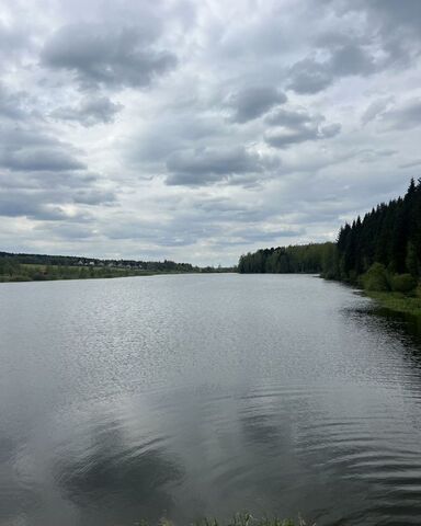 50 км, д. Новинки, Ярославское шоссе фото