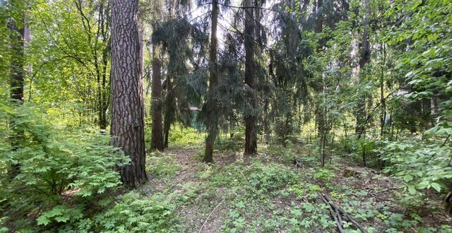 ул Комиссарова 36 21 км, дп. Кратово, Егорьевское шоссе фото