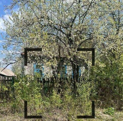 ул Дорожная 31 Старооскольский городской округ фото