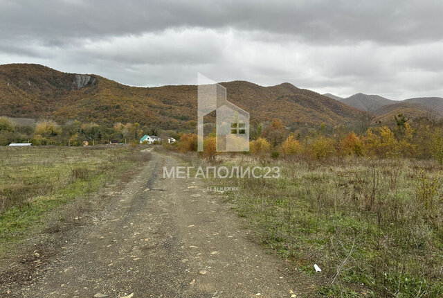 земля с Береговое фото