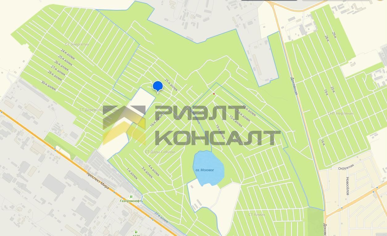 земля г Омск р-н Советский снт Дары Сибири аллея 21А фото 7