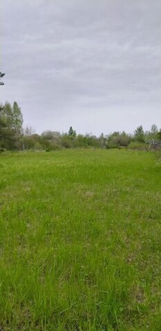 городское поселение город Старая Русса, Старая Русса фото
