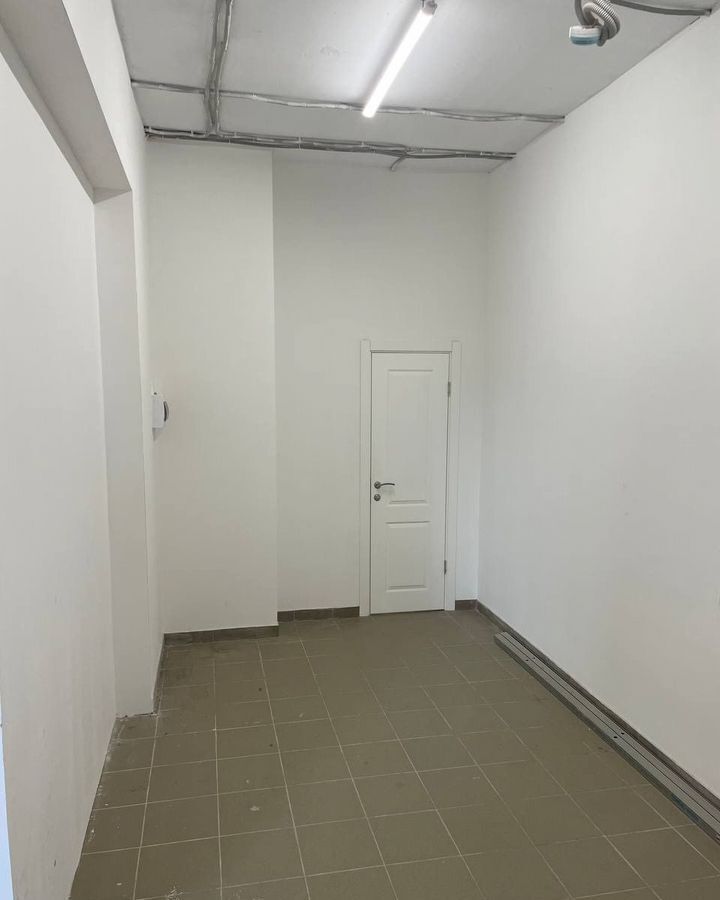 торговое помещение г Санкт-Петербург п Шушары пр-кт Старорусский 11 метро Купчино р-н Пушкинский фото 10