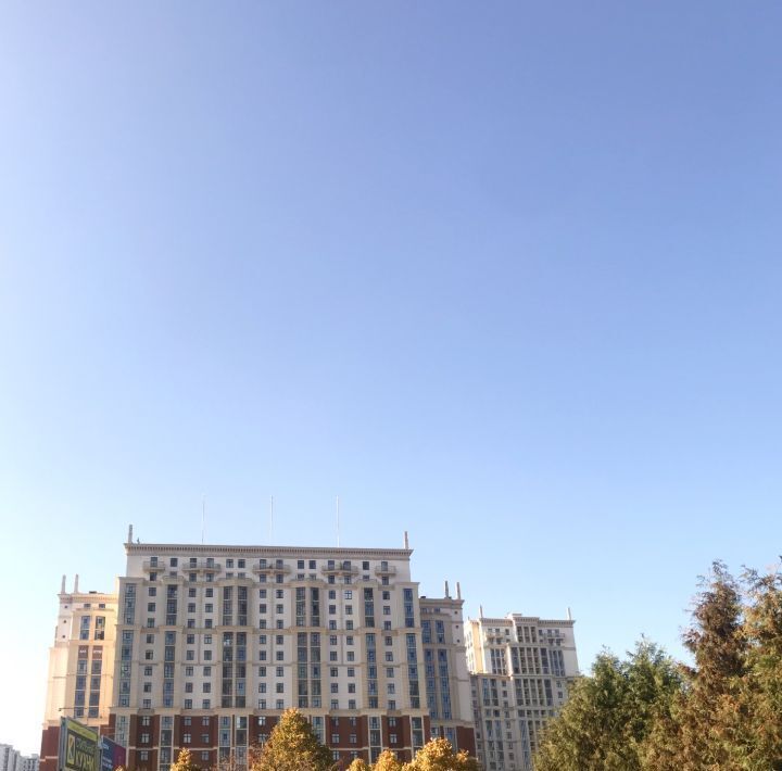 квартира г Санкт-Петербург метро Проспект Большевиков р-н Невский ул Дыбенко 8к/2 ЖК «Ренессанс» фото 22