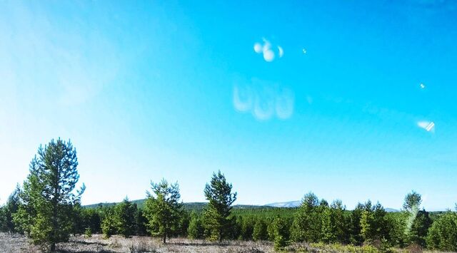 земля п Николаевский снт Дархан Заводское муниципальное образование фото