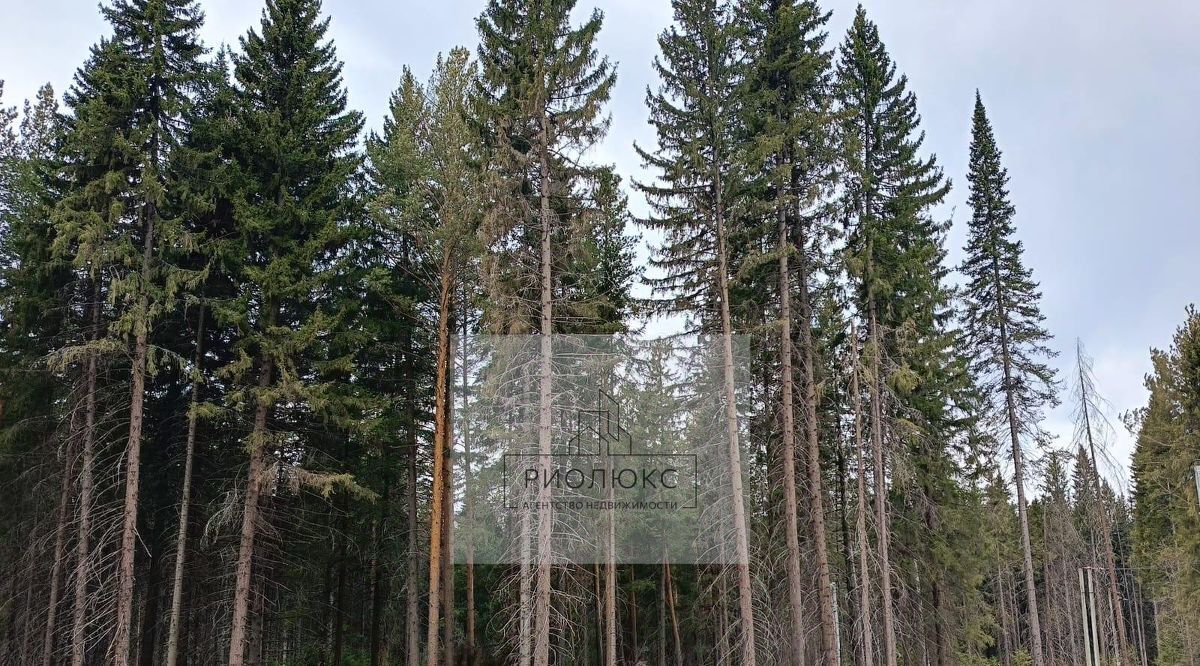 земля г Ревда фото 1
