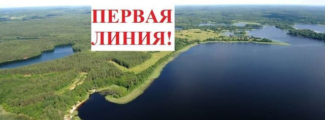 д Картунь фото