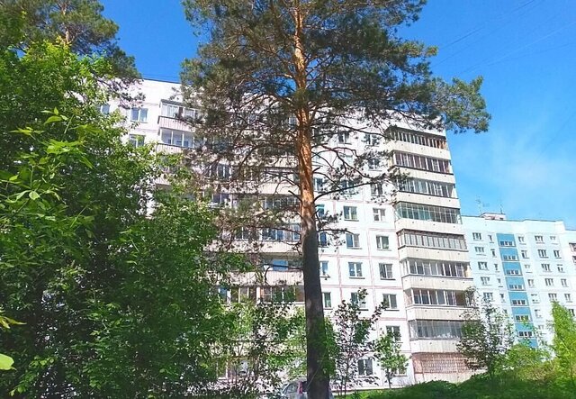 Нижняя Ельцовка ул Экваторная 12 фото