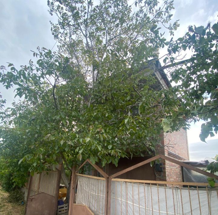 земля г Феодосия снт Родничок ул. Грушевая, 216 фото 4
