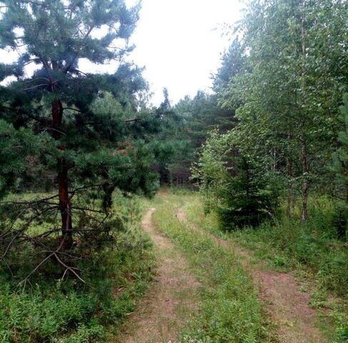 земля Едровское с/пос фото