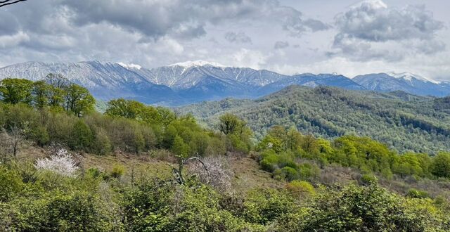 пер Молдовский с Илларионовка р-н Адлерский фото