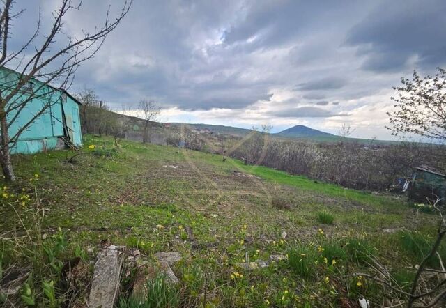 ул Оранжерейная фото