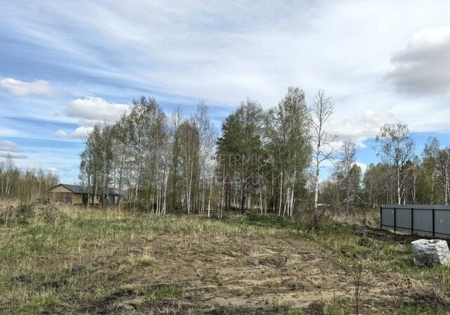 р-н Центральный снт Ясень Третья ул., 223 фото