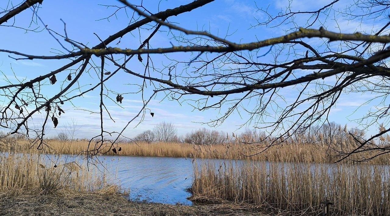 земля р-н Аксайский г Аксай ул Лермонтова 35 фото 2