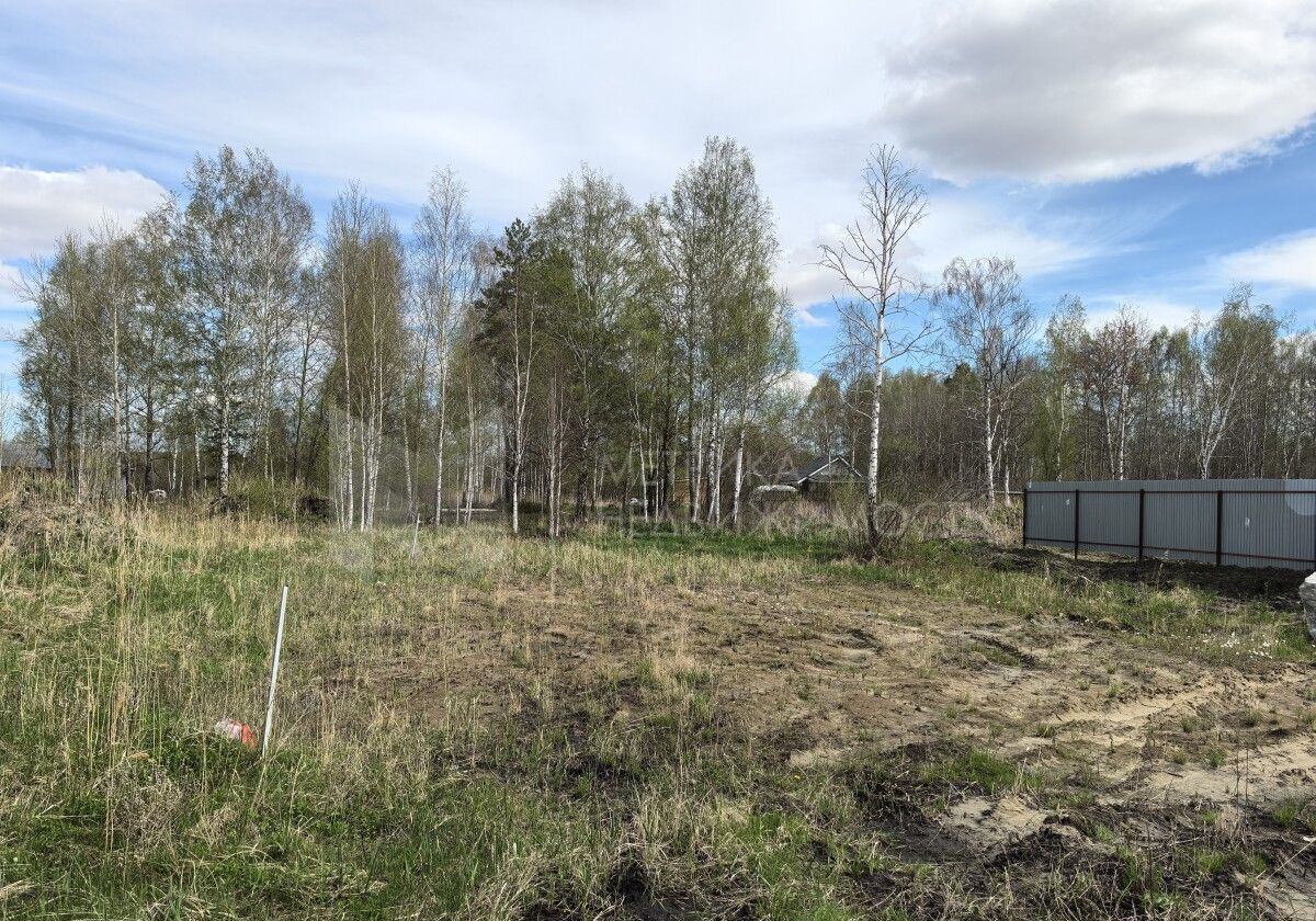 земля г Тюмень р-н Центральный снт Ясень Третья ул., 223 фото 3